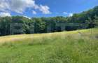 Teren extravilan de vanzare, 740 mp, zona Taberei - 2