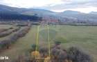 Teren 5.800 mp Purcareni curent, gaz, apa / Strada 30 decembrie