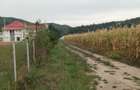 Teren Cepari 500mp 5000 Euro - 4