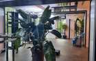 Bd Unirii, spatiu comercial 403 mp, de inchiriat - 2