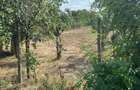 Vand Teren 1500m (Sau 2 loturi a cate 750m fiecare) (Pre? negociabil) - 2