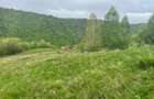 Teren de construit | 1015 mp | intravilan - 3