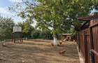 Casa de vis pe un singur nivel - Episcopia Bihor - 16