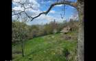Teren de vis cauta proprietar. - 11