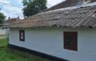 Muta-te la tara: teren 2500 mp, gradina si casa aproape de Bucuresti - 13