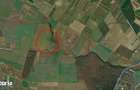 Investitie - Teren extravilan 3 ha langa Padurea Oracu - 3