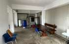 SPATIU COMERCIAL DE VANZARE Sat Cetan, Comuna Vad | DJ spre Baia - 11