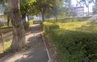 Apartament 3 camere, parter, zona centrala - 3