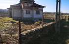 Casă cu 7 camere cu Teren 5000 Mp în Grădiștea - 4