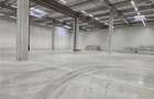 Spatiu Industrial - 6000 mp - Logistica - Productie - Depozitare - Distributie - 7