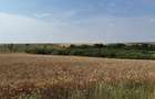 Teren intravilan Miersig, vedere la lac. 12,5 E/mp neg. Comision 0 - Miersig (Bihor) - 6