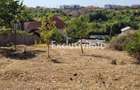 Teren intravilan Turcesti (Pitesti) - 1083 mp, demisol ex... - 1
