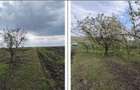 Teren cota parte 3/16, Sipote, ID: R3070063 - 6
