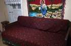 Casa de vanzare la tara - Sat Boian, Comuna Ceanu Mare cu teren 40 ari - 20