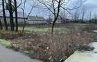 Teren intravilan 1700m2 24ml deschidere la strada astfalta , centru comuna Florica, jud.Buzau 1360 - 2