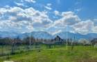 Teren intravilan de vanzare in Arpasu de Sus, 2000 mp, vedere spre mun - 2