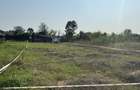 Teren intravilan linistit langa padure bucov mica roma - 3