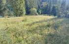 Teren de vanzare 3800 m2 - 1
