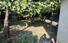 Casa plus teren Filipesti (20 km pana in Bacau ) - 3