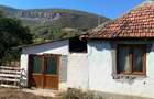 vand casa cu gradina - 4