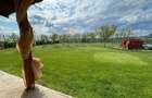 Cabana de lemn, 2 camere, teren 850 mp, livada, Oarda, Alba Iulia - 7