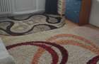 Inchiriez apartament cu 1 camera , baie , bucatarie, hol, Nicolina strada Carpati, et 7 . Pret 2000 Ron. + 1 luna garanzie Fara intermediari.. - 5