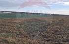 Teren intravilan 3400mp de vanzare la Santion - Santion (Bihor)