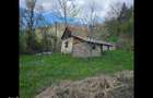 Teren de vis cauta proprietar. - 14