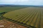 Teren intravilan 47.300 mp Cumpana, jude?ul Constan?a - 2
