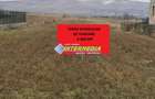 Teren intravilan 4200 mp de vanzare Alba Micesti cu utiliati langa
