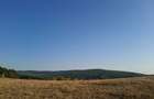 Teren de 1000 mp, în Bârnova - 7