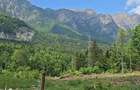 Teren de 1000 mp, în Cumpătu - 6