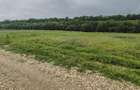 Teren intravilan - 860 mp - Deschidere 20 mp - Eforest - Crevedia - 7