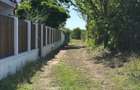 Vand teren Ciofliceni Snagov - 3