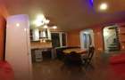 Casa Ultracentrala de inchiriat Armeneasca - 8