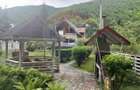 Cabana autentica de munte Frasinet - Baisoara 600 mp teren - 17