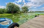 Dom00444 - vila luxurianta la lac cu ponton si casa de barca snagov - 6