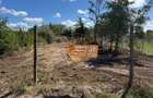 TEREN 900 MP IN JUPITER | INTRAVILAN, FARA SARCINI | INVESTI?IE LIT - 5