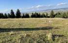 Teren intravilan Seceni (Szecsen) Miercurea Ciuc 3000 mp - 5