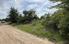 Teren intravilan 498,02 mp langa padure , strada privata Corbeanca - 4