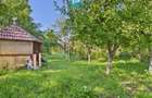 Casa cu 4 camere, curte si atelier mecanic - Sebes
