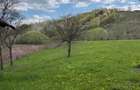 casa 120 mp cu teren agricol 3384 mp, com.Barsanesti, jud.Bacau - 2