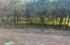 Casă cu 4 camere cu Teren 14242 Mp în Priporu - 2