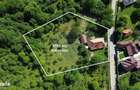 Casa de vanzare in natura la tara - Mihaesti - 4
