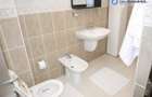 Vila\DS+P+1+M\Titan\Garaj\Curte\Centrala
