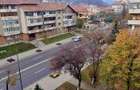 Apartament De Vanzare Ramnicu Valcea Calea lui Traian Etaj 4/8 - 17