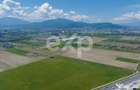 Teren 6.753 mp cu PUZ aprobat Sanpetru | Dezvoltare rez - 11