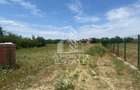 Teren constructii intravilan de vanzare Dragsina Timis 1000 mp - Dragsina (Timis)