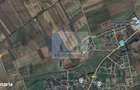 Proprietar vand teren in Les- NOJORID- 6 ha