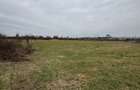 Teren intravilan 72 ari, front generos 54 ml Zona Doua - Lapusel (Maramures)